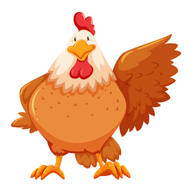 鸡