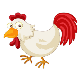 鸡