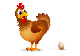 鸡
