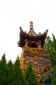 唐华清宫御汤博物馆飞霞亭