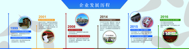 企业发展历程