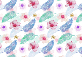 彩色羽毛矢量图