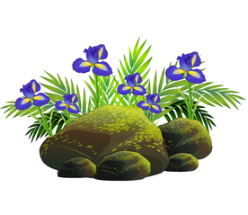 矢量兰花  矢量植物