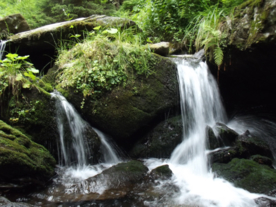 山水