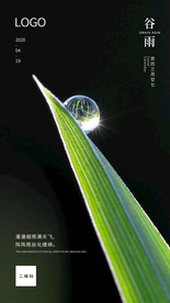 谷雨H5海报