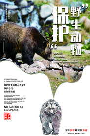 保护动物社会公益活动海报素材