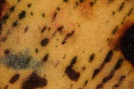 结构 纹理 背景