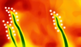 背景 抽象 植物