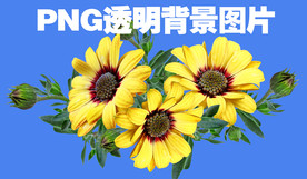 植物.动物.生物