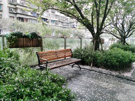 樱花休息椅