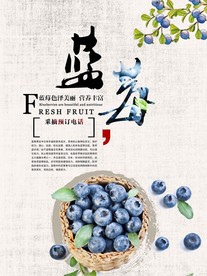 蓝莓 蓝莓海报图片