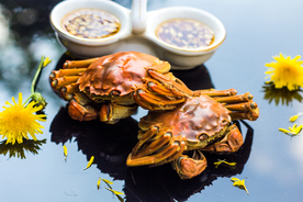 大闸蟹