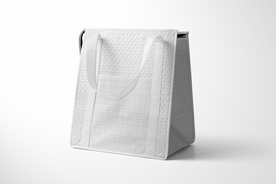 保温冰袋样机套装