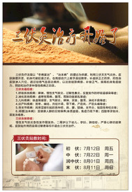 三伏灸 中医药