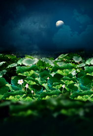 影楼模板 国风背景 中国风背景