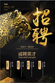 招聘海报  校招海报