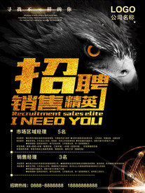 招聘海报  校招海报