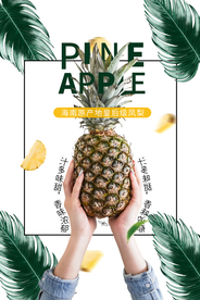 菠萝凤梨水果宣传海报素材