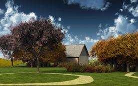 自然风景树林摄影图