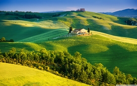 自然风景树林摄影图