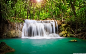 自然风景树林摄影图