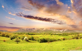 自然风景树林摄影图