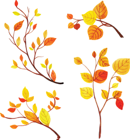 秋天绘画树叶素材