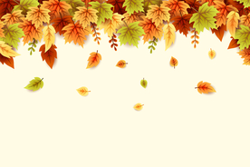 秋天绘画树叶素材