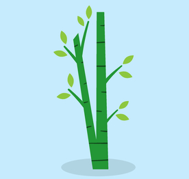 卡通竹子