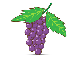 手绘葡萄