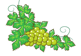 手绘葡萄