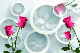 玫瑰圆圈3d电视墙背景图片