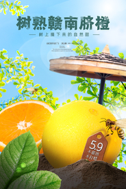 橙子水果活动宣传海报素材