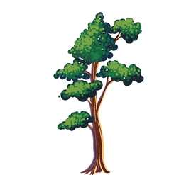卡通树