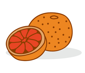 卡通橙子