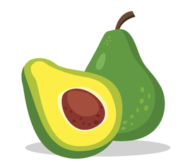 手绘牛油果