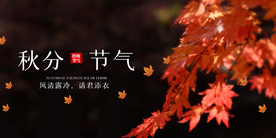 秋分节气传统活动海报素材