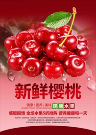 樱桃采摘 新鲜樱桃图片