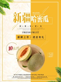 哈密瓜海报图片