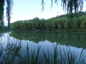 美丽宁静的湖畔