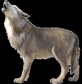 狼动物图形装饰背景素材