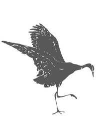 动物剪影图形标志图标素材