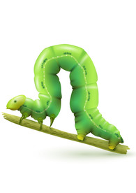 毛毛虫图形标志图标素材