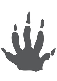 动物爪印标志图标图形素材