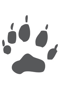 动物爪印标志图标图形素材