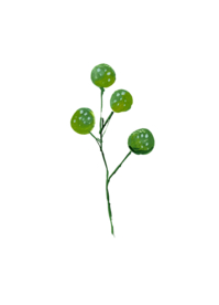 水粉花卉素材花型