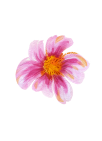 水粉花卉素材花型