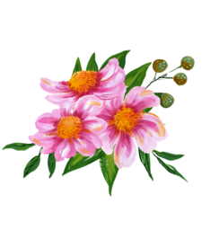 水粉花卉素材花型