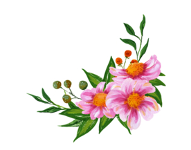 水粉花卉素材花型