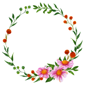 水粉花卉素材花型